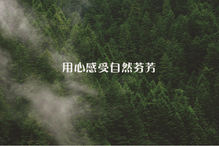 55d518ab-a06d-42a5-aa67-bdbf71ddd49f